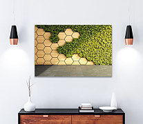 Obraz Vertikálna zelená záhrada na drevenej stene 1980